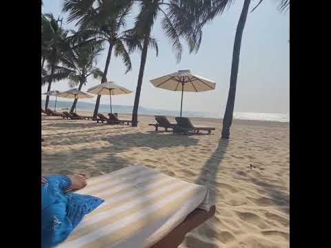 Mallika Sherawat enjoying the beach in Goa🏝 #celebritywindow #shorts #mallikasherawat