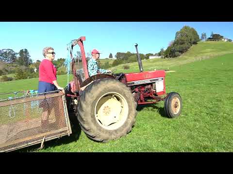 Jo-Ann presents 112 Findlay Road, Mauku