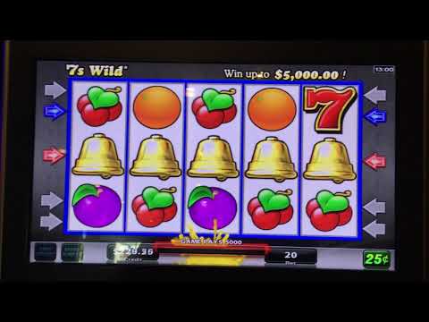 Wild Seven's Massive win