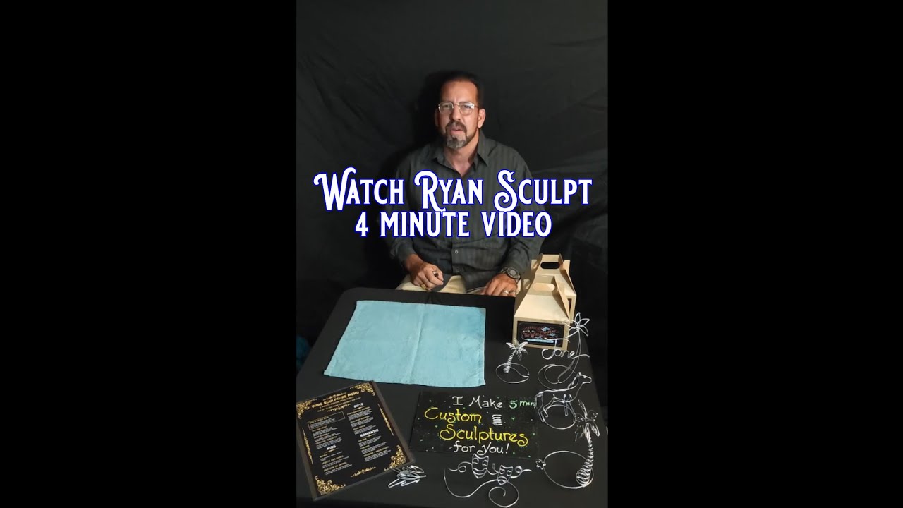 Promotional video thumbnail 3 for Wire Sculpture Live