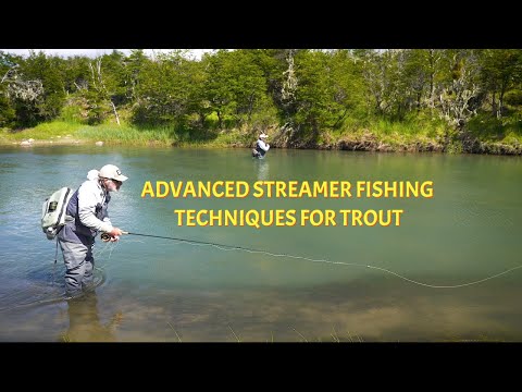 Advanced Streamer Techniques for Trout Fishing Success