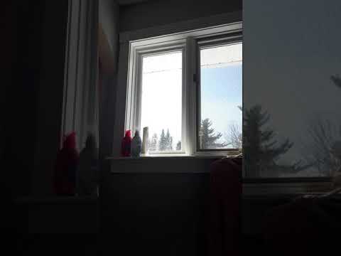 the bugs in the bathroom