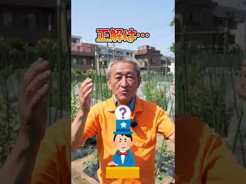 園芸 ジャガイモに関するよくある質問