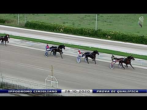 Aversa trotto 28 Ottobre 2020 - Prova di qualifica