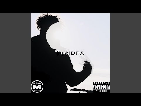 Y.N.F (Young Nigga Flex) (feat. $l33py Z!m)