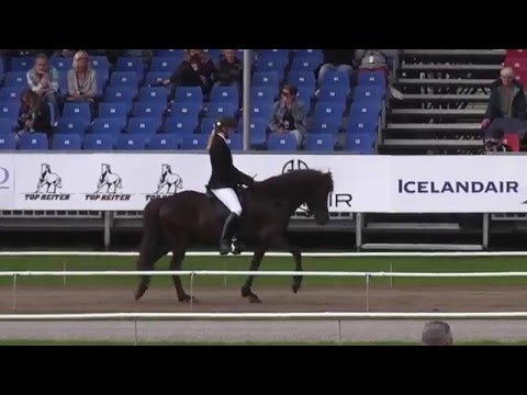 Gletting vom Kronshof, WC15