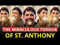 The Tongue that Defied Time: The Divine Sign of Saint Anthony