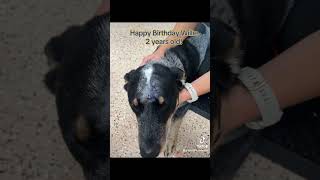 Willie’s Birthday