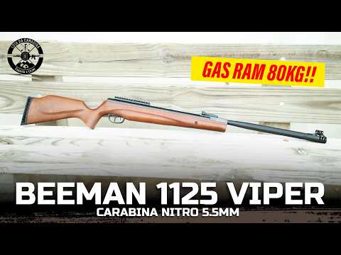 TESTAMOS a Beeman Viper 1125 GP -  315 m/s? 40 Joules? É Tudo Isso Mesmo? Gas Ram 80KG