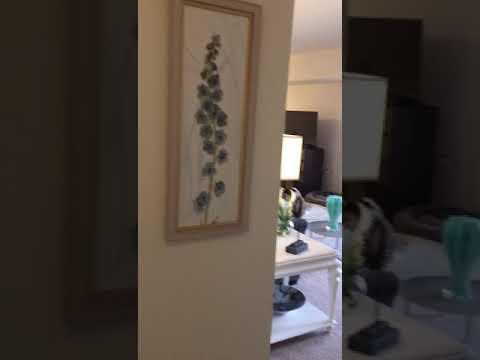 Merrifield Apartments One Bedroom Model