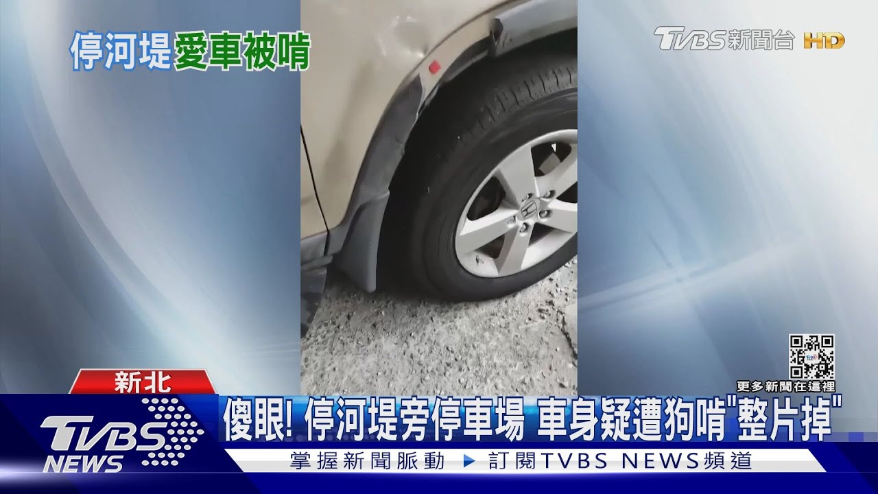 傻眼!停河堤旁停車場 車身疑遭狗啃「整片掉」