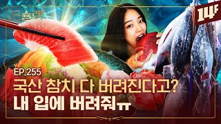 썸네일 이미지