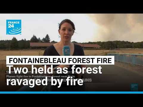 Two arrested as Fontainebleau forest near Paris ravaged by fire, prompting evacuations