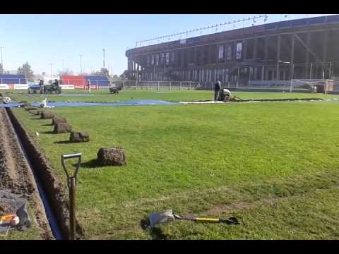 CAMPO DE JUEGO DE DIVISIONES INFERIORES DE SAN LORENZO DE ALMAGRO