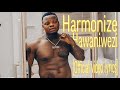 Harmonize - Hawaniwezi [Official video lyrics]