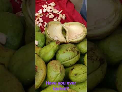 #kaccha#pista#amazing#fruit