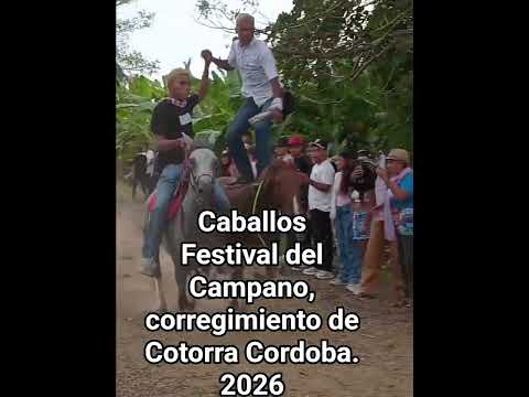 Festival del Campano, corregimiento de Cotorra Cordoba. 2026