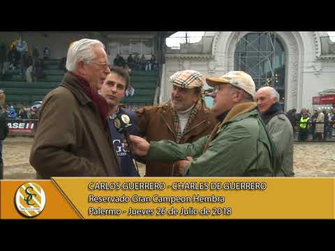 26-07-18 Nota A. Gusman, C. Pestalardo y C. Guerrero - Jura Hembra Angus - Palermo
