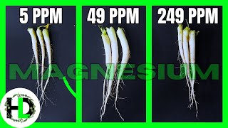 Magnesium Experiment Results Will Surprise You!