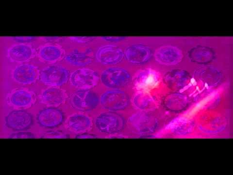 Norma x Lagi - 200X (Official Video Mash-Up) #OTHERVISIONREC