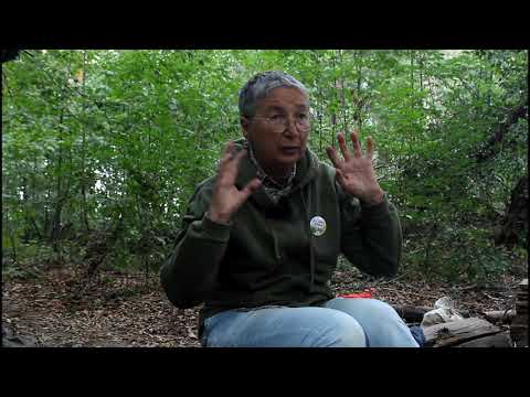 Alexandra Koroleva von Ecodefense spricht über ihren Kampf gegen eine Kohlegrube in Kussbass