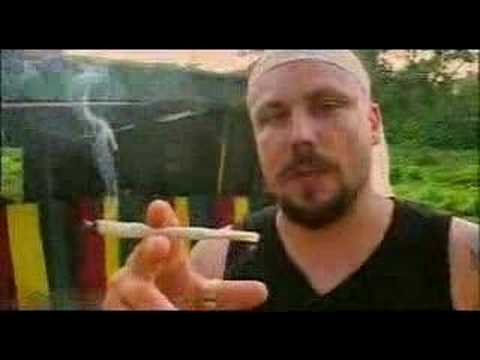 MADVENTURES II - MAD COOK- After dinner SPLIFF