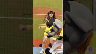 20250302 日本火腿交流賽 好萌邊荷律（변하율）林書逸應援 #passionsisters #中信兄弟 #台湾チア