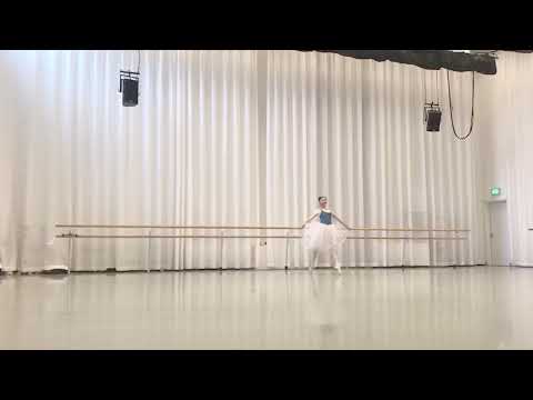 La fille mal gardee variation 2019