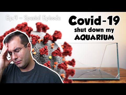 How Covid-19 affected my aquarium | Ep.4 Nano Reef Competition