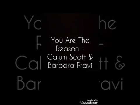 You Are The Reason - Calum Scott & Barbara Pravi (COVER)