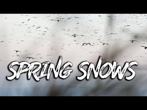 Beau Hunting "Smacking Spring Snows Over Clones"