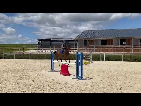 Cristalla: CRISTALLO I x CONTEUR