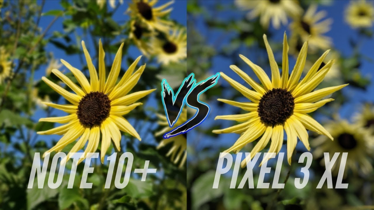 Samsung Galaxy Note 10 Plus vs Google Pixel 3 XL Camera Comparison