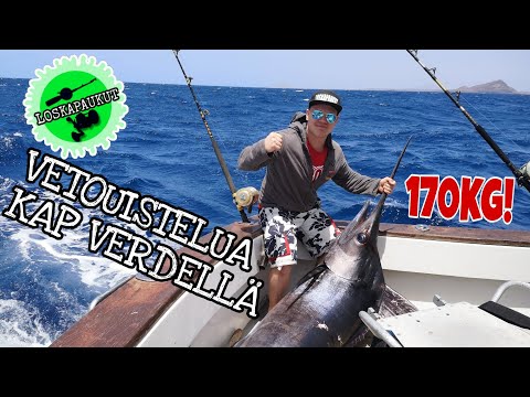 Loskapaukut - Vetouistelua Kap Verdellä