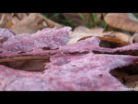 Sing With Your Eyes cover