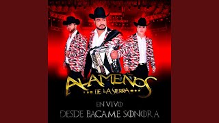 Maria De La Luz & Una Copita De Ron (En Vivo) Lyrics English Translation