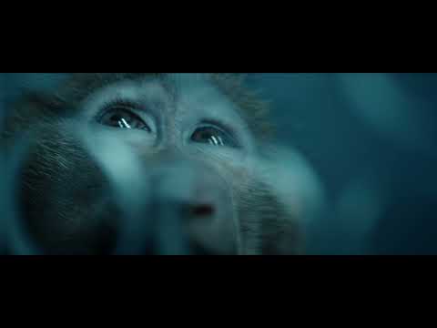 Fondation 30 Millions d'Amis - The Cry for Help