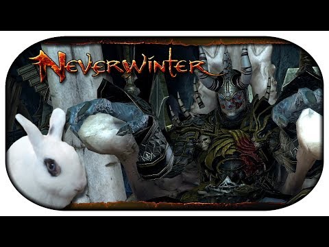 NEVERWINTER: Paladin-LP 🐇 137 - Die lange Nacht