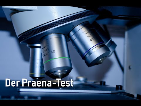 Kern Sätze#12: Der Praena-Test