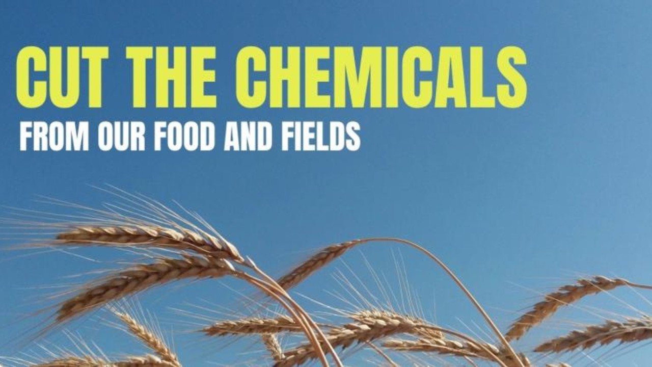 Cut the chemicals from our food and fields | Soil Association