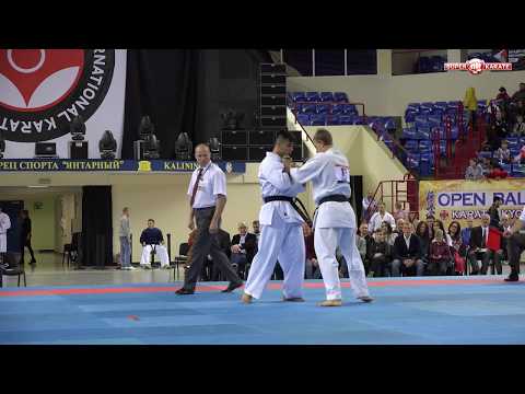 Andrey Luzin vs Ali Rashnoo. Open Baltic Cup 2018