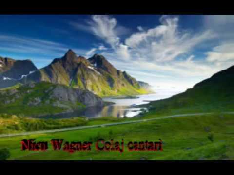 Nicu Wagner - 1 ORA DE MUZICA CRESTINA.Colaj!