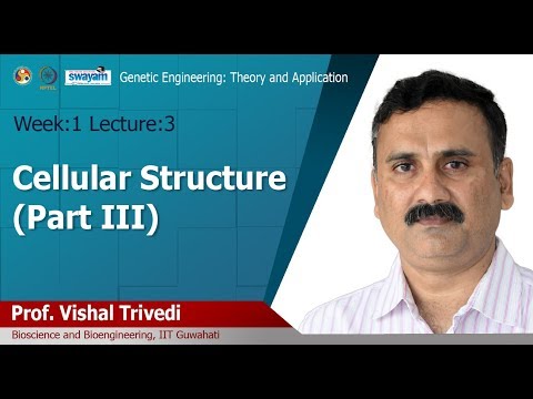 Genetic Engineering Theory and Application Intro Video