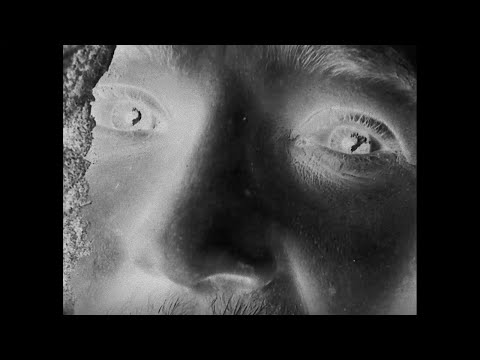 DER ZIRKEL - ERDE // OFFICIAL VIDEO (PROD. TRAPSTASY)