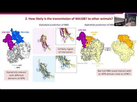 Dr Giulia Gallo - Zoonotic and spillover potential of APN using alphacoronaviruses