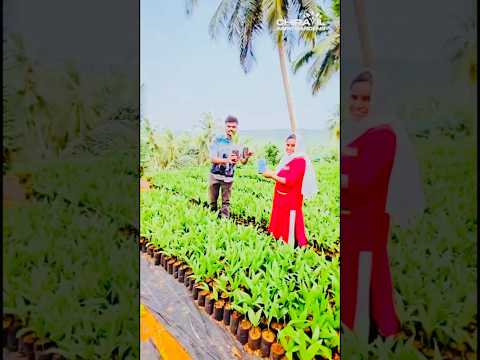CHIRAYIL AGRO GARDENS