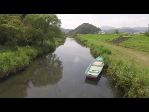 【海陽町】母川2