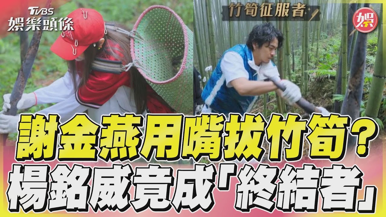 影音／謝金燕拔筍「出一張嘴」？　楊銘威超輕鬆成竹筍征服者