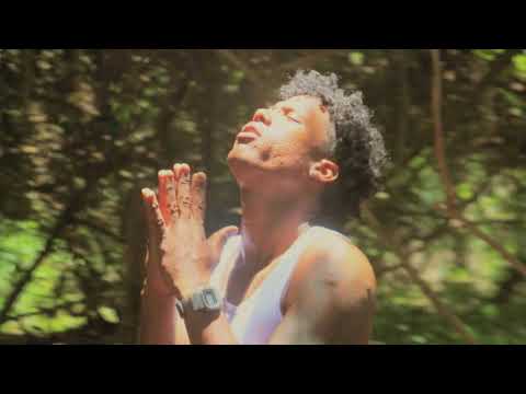 Seney Music . FlOw FE🙏  (Video Oficial).  #alofoke #alofokeradio #rochy #alofokeradioshow