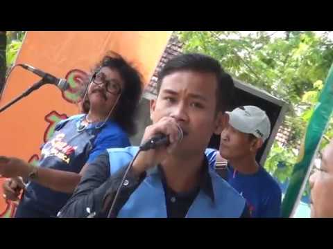 ARGA WILIS - NEW RYANT MUSICA